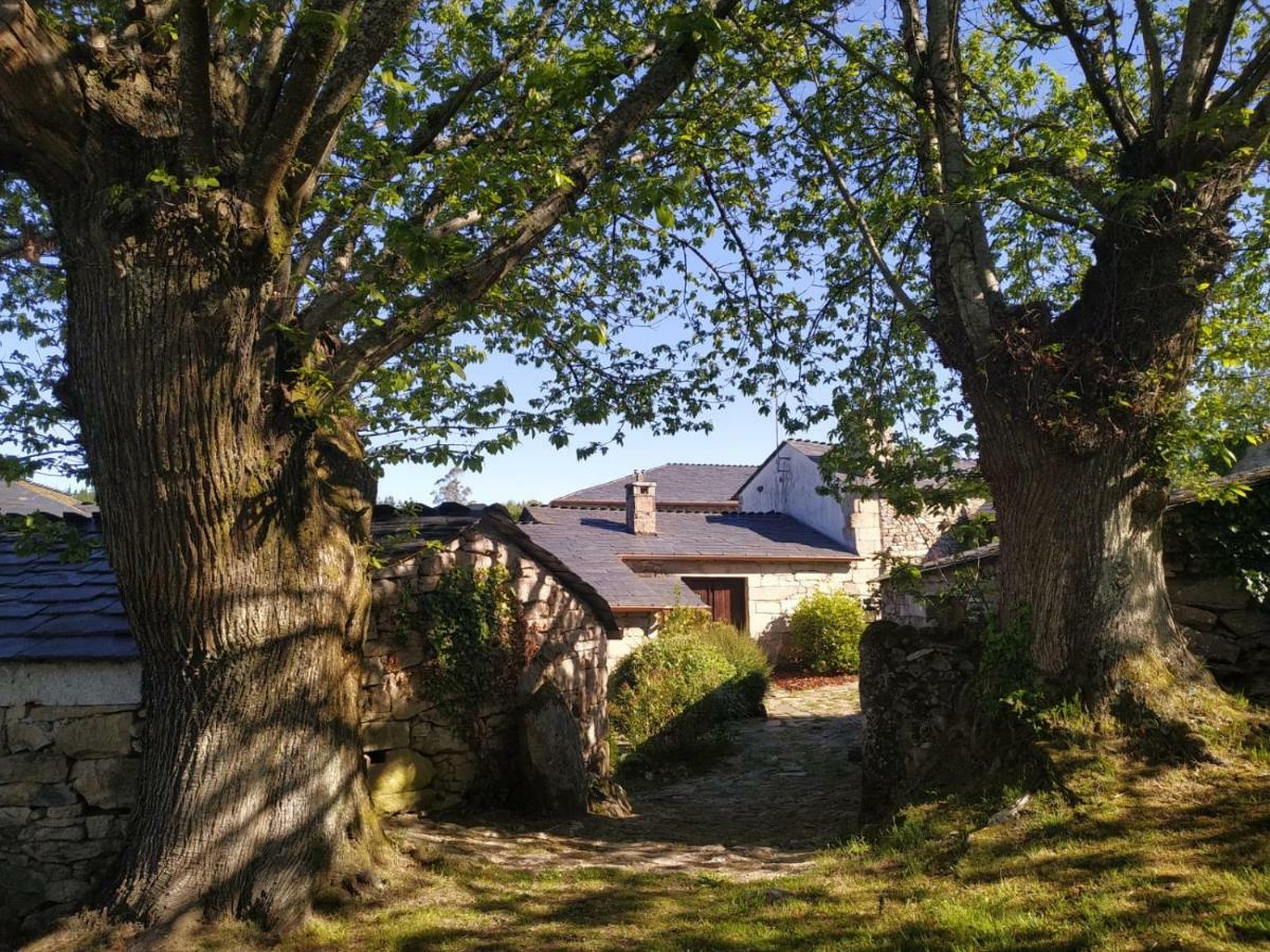 Casa Roan Y Casa Grande Pensionat Lodoso Eksteriør billede